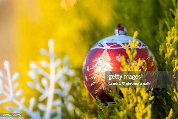 albero di natale - albero di natale stock pictures, royalty-free photos & images