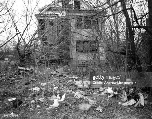 Abandoned homes and empty lots now dominate what was once the heart of a thriving African American community in 2016 in Detroit, Michigan. Early in...