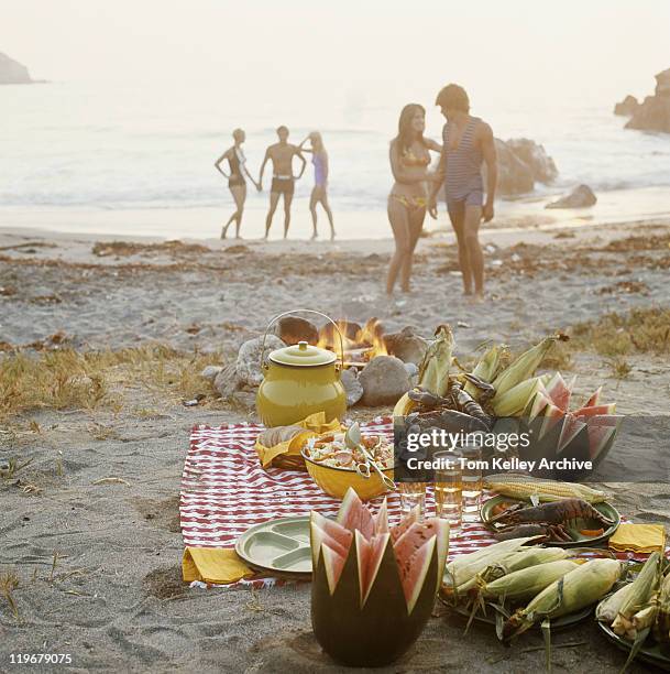 picnic on beach - beach bowl stock pictures, royalty-free photos & images