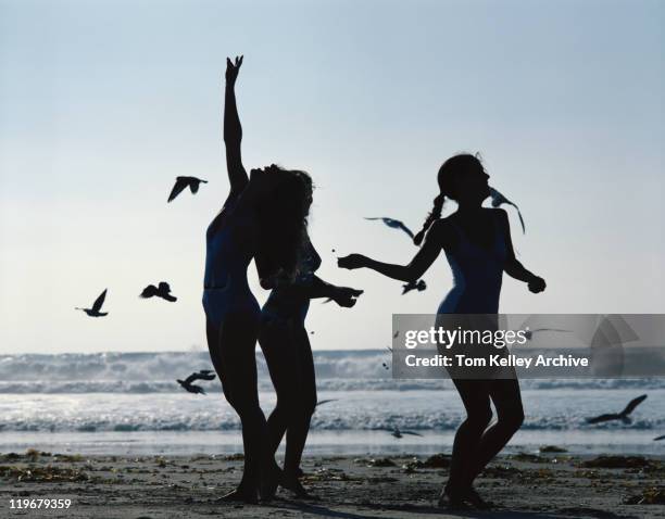 young women on beach feeding birds - 1977 stock pictures, royalty-free photos & images