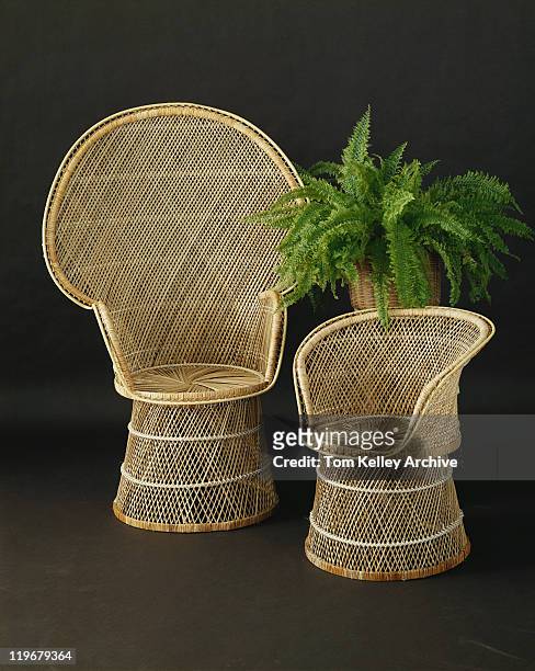 empty wicker chair with fern - 1977 stock pictures, royalty-free photos & images