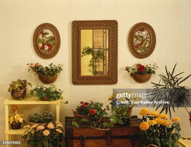 home interior with pot plants and mirror - 1978 - fotografias e filmes do acervo