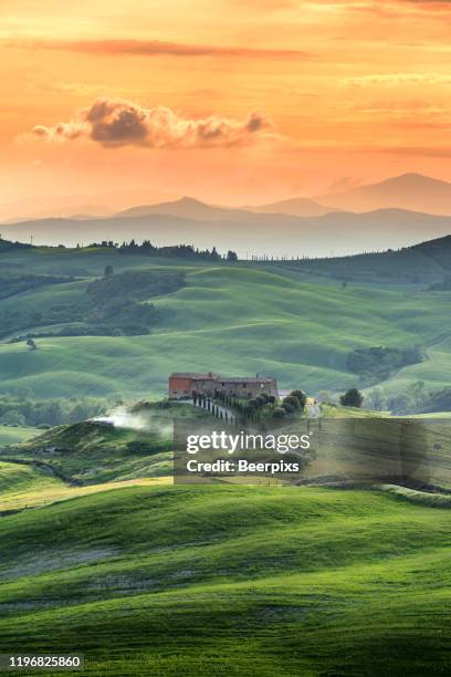 beautiful summer landscape in tuscany, italy. - tuscany stock pictures, royalty-free photos & images