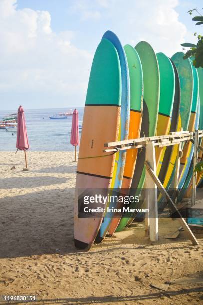 surfboards for rent by the beach - lombok bildbanksfoton och bilder