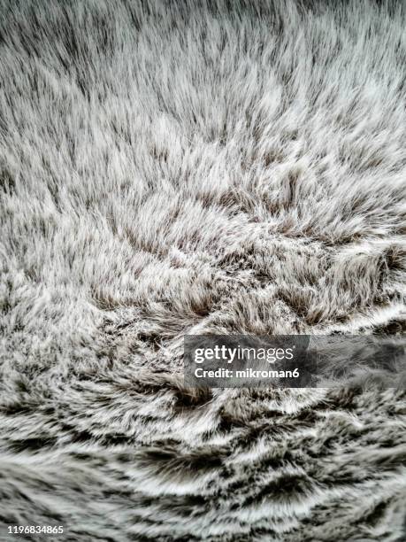 fur texture background. - fake fur stock pictures, royalty-free photos & images