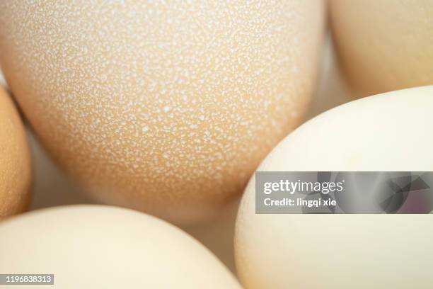 eggs closeup on white background - chicken ingredient stock pictures, royalty-free photos & images