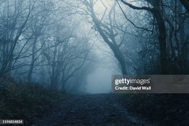 2,800 Scary Forest Path Stock Photos, High-Res Pictures, and Images ...