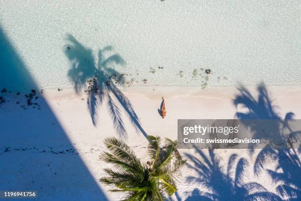 在白色沙灘上放鬆的婦女與棕櫚樹的無人機視圖 - cancun 個照片及圖片檔