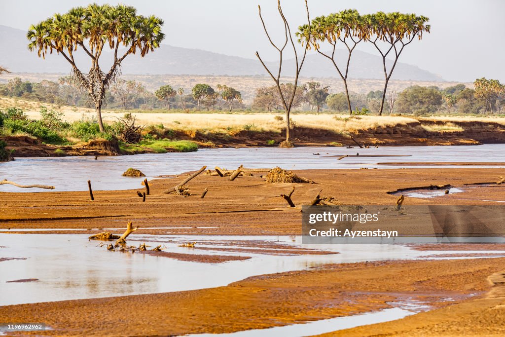 Ewaso Nyiro River in Samburu National Reserve, Samburu, Kenya
