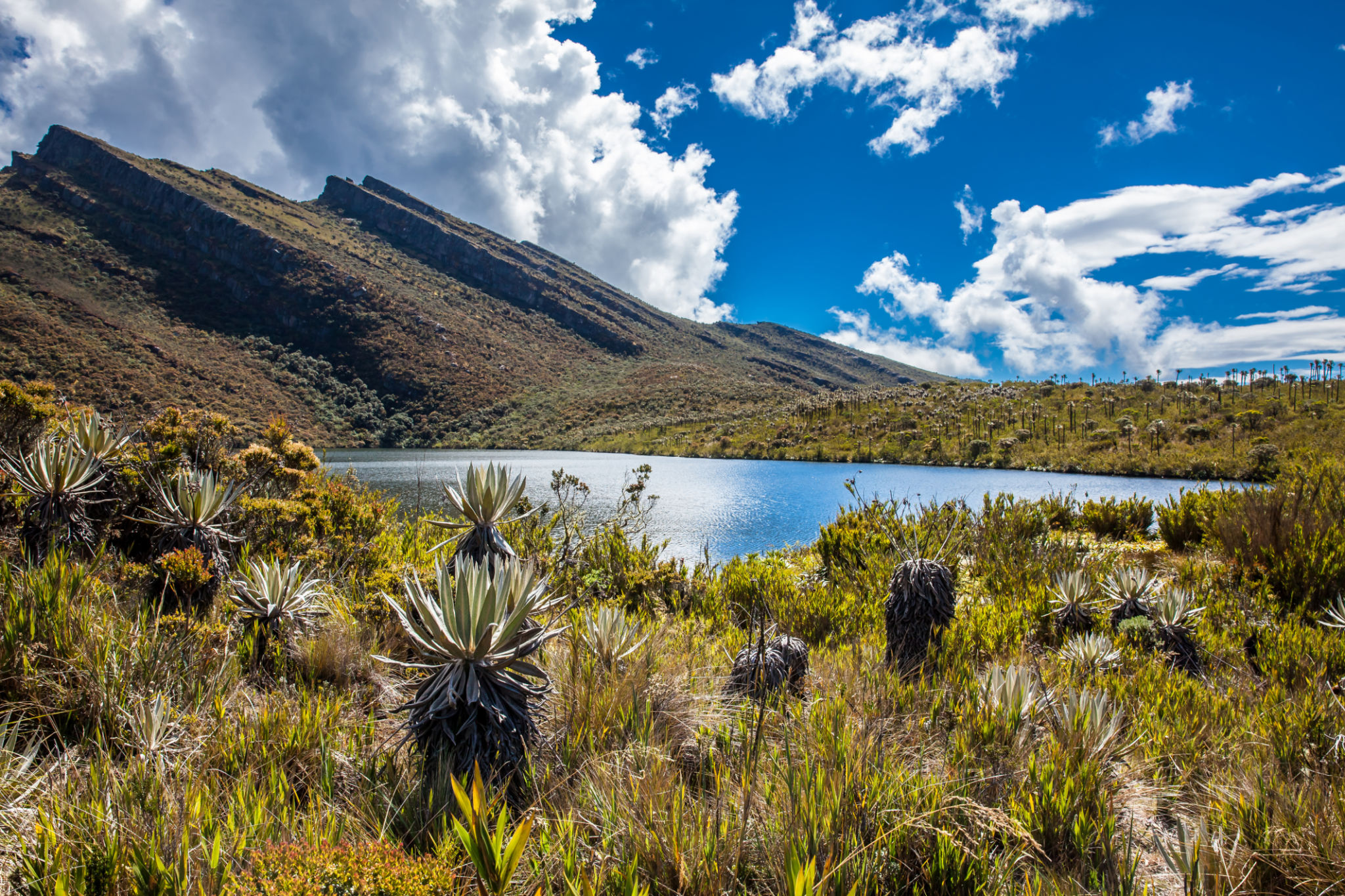 Beautiful landscape of Colombian Andean mountains showing paramo type vegetation in the department of Cundinamarca Beautiful landscape of Colombian Andean mountains showing paramo type vegetation in the department of Cundinamarca