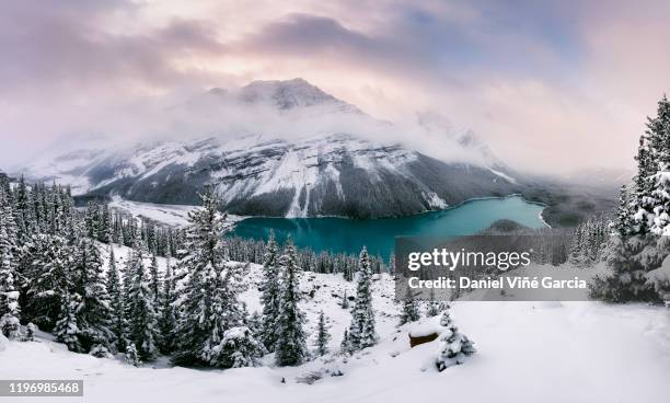 peyto lake just after late summer snow storm - peytomeer stockfoto's en -beelden