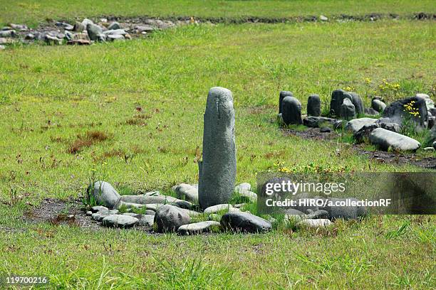 oyu stone circle - stone circle stockfoto's en -beelden