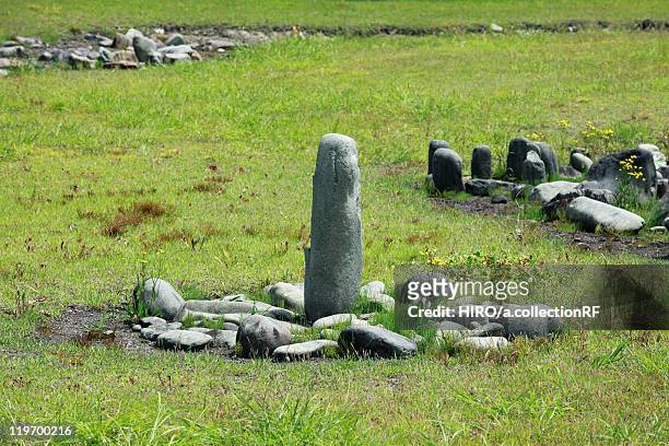 oyu stone circle - stone circle stock pictures, royalty-free photos & images