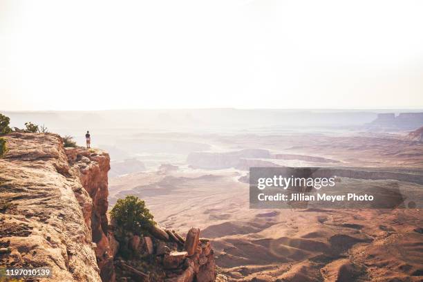 one person overlooking canyonlands national park in utah during sunset - canyonlands national park bildbanksfoton och bilder