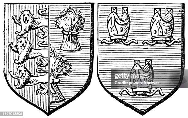 ilustraciones, imágenes clip art, dibujos animados e iconos de stock de escudo de armas de la ciudad y la vista de chester - siglo xix - chester england