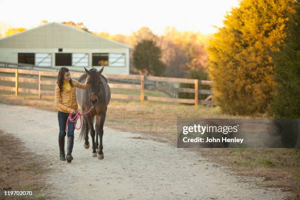 caucasian girl leading horse on path - horse front view stock pictures, royalty-free photos & images