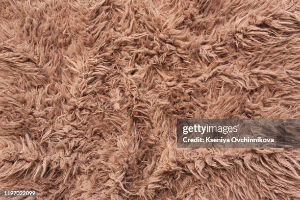 close view of a fur from a capra ibex - fluffy stock pictures, royalty-free photos & images