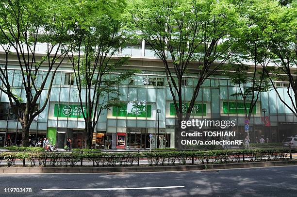 omotesando street, shibuya ward, tokyo prefecture, japan - omotesando tokyo stock pictures, royalty-free photos & images