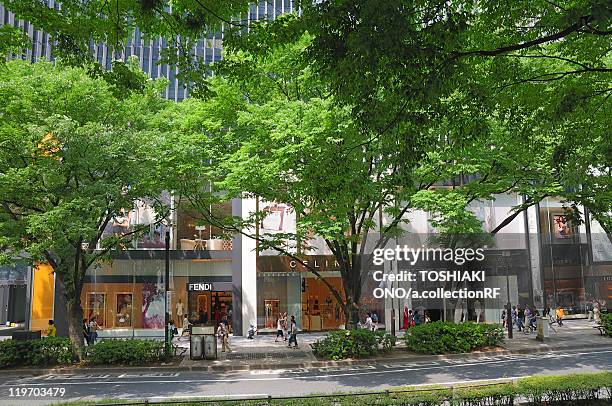 omotesando street, shibuya ward, tokyo prefecture, japan - omotesando tokio stockfoto's en -beelden