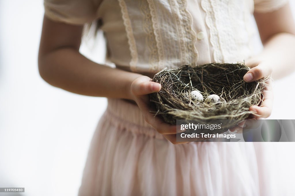 USA, New Jersey, Jersey City, Girl (8-9) holding nest with small eggs
