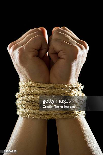 studio shot of tied hands - tied up rope stock pictures, royalty-free photos & images