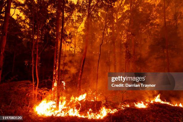 Bushfires burn between the townships of Bemm River and Cann River in eastern Gippsland on January 02 Australia. The HMAS Choules docked outside of...