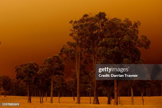 Think smoke from bushfires fills the air in eastern Gippsland on January 02 Australia. The HMAS Choules docked outside of Mallacoota this morning to...