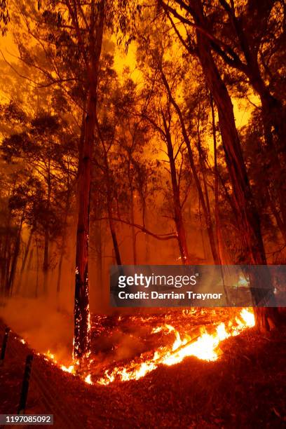 Bushfires burn between the townships of Bemm River and Cann River in eastern Gippsland on January 02 Australia. The HMAS Choules docked outside of...