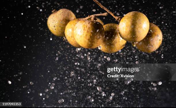 longan flying in mid air captured with high speed sync. - longan stock-fotos und bilder