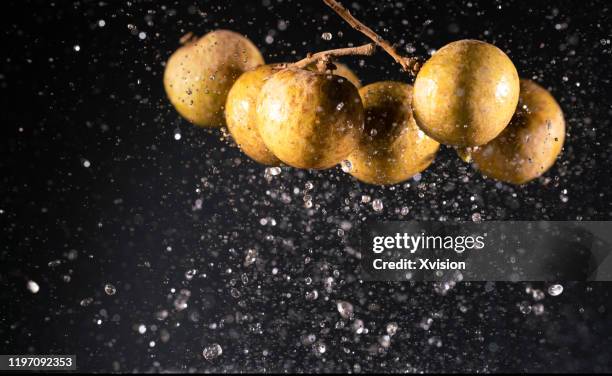 824 Longan Fruit Stock Photos, High-Res Pictures, and Images - Getty Images