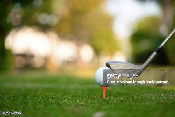 playing golf. golf club and ball. preparing to shot - eagle golf stock pictures, royalty-free photos & images