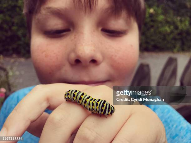 Little Boy Looking at a Caterpillar