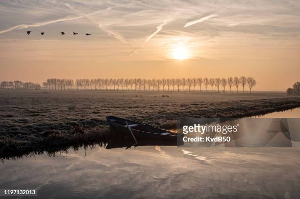 winterochtend in de polder - landschap natuur stockfoto's en -beelden