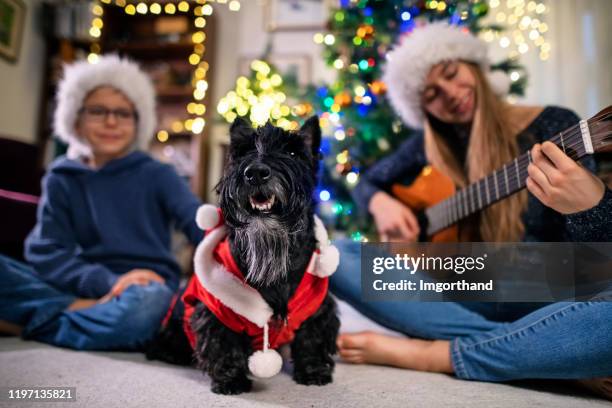 niños y perros cantando villancicos cerca del árbol de navidad - villancicos fotografías e imágenes de stock