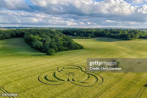 The first crop circle of the season appears at Long Wood in Hampshire on June 09, 2019 near Littleton, Winchester, United Kingdom. Crop circles often...