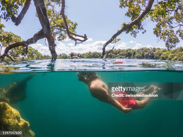 onderwater shot van man duiken in mexicaanse cenote - half underwater stockfoto's en -beelden