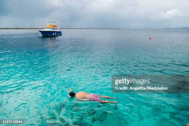 snorkeling in the caribbean sea - bonaire stock-fotos und bilder