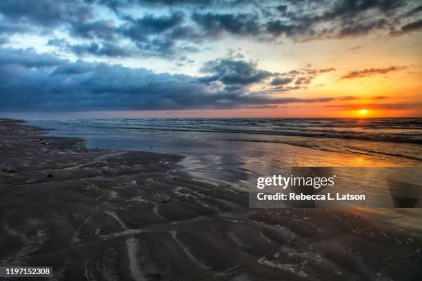 a spring sunrise over the gulf - rebecca da costa - fotografias e filmes do acervo