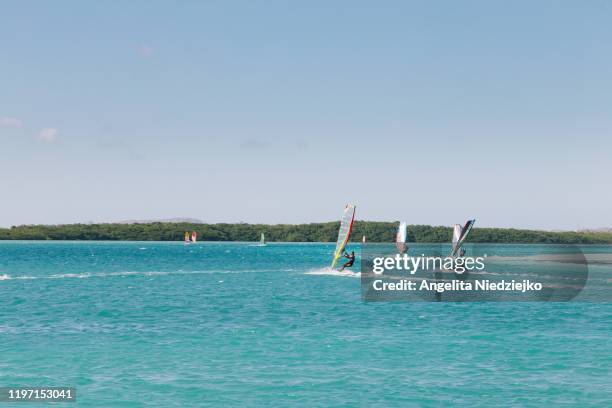 bonaire island, windsurfing. - bonaire stock pictures, royalty-free photos & images