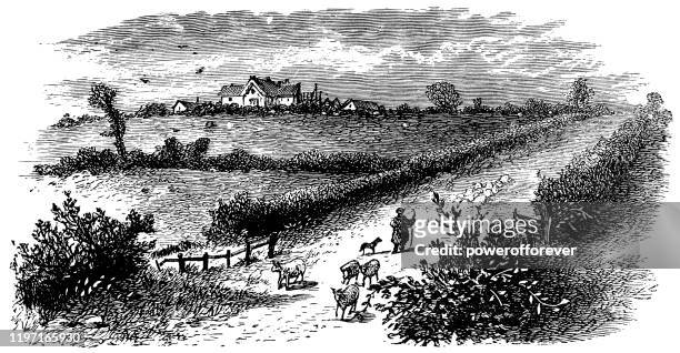 stockillustraties, clipart, cartoons en iconen met sulby hedges bij naseby battlefield in northamptonshire, engeland-19e eeuw - northamptonshire