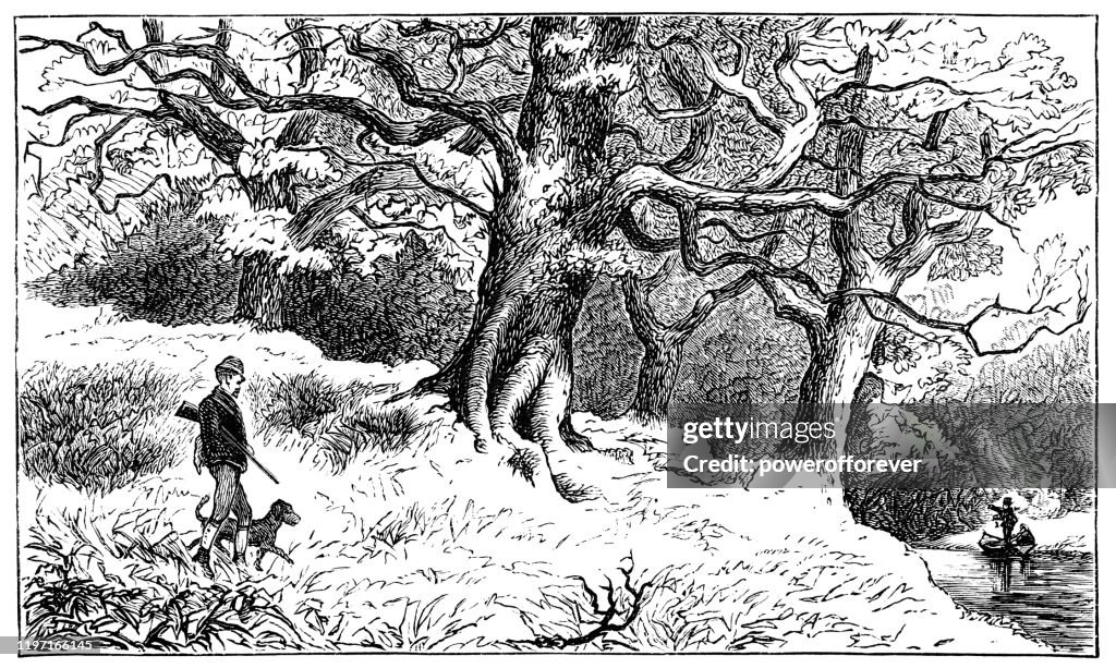 Cadzow Ancient Oaks in Hamilton, Scotland - 19th Century