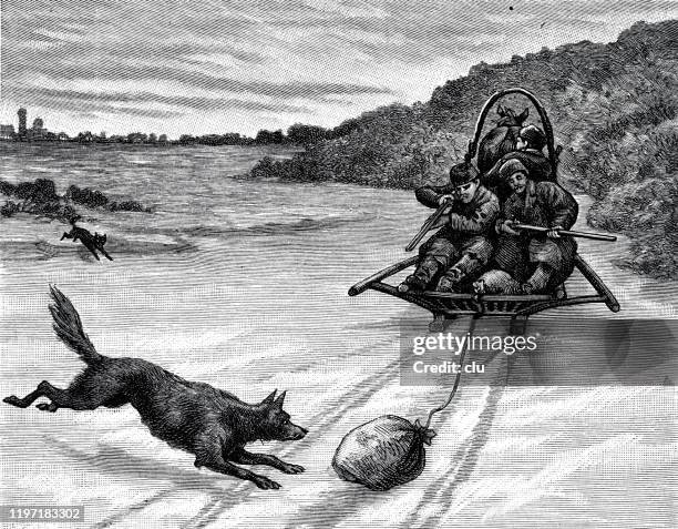ilustrações de stock, clip art, desenhos animados e ícones de men on sleigh in wolf hunting - wolf