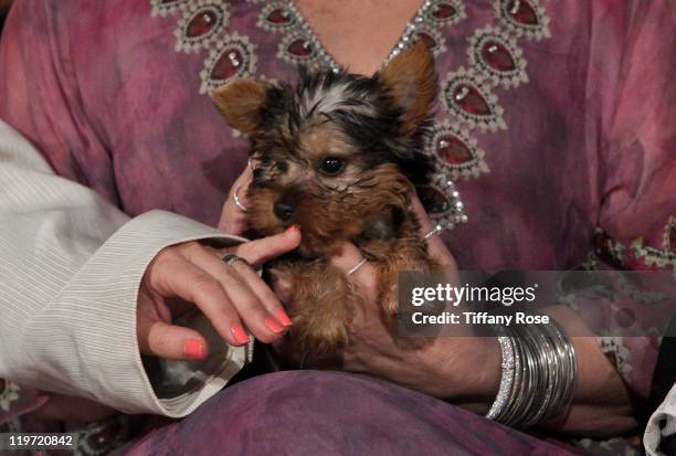 Personality Sharon Osbourne attends the 13th Annual Design Care Benefiting The HollyRod Foundation - Inside on July 23, 2011 in Beverly Hills,...