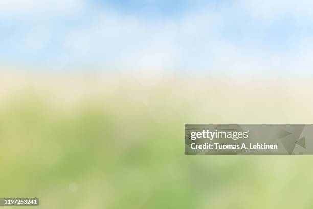 blurred summer landscape background with bokeh - spring background fotografías e imágenes de stock