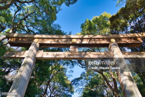 a torii gate along the forested approach to meiji shrine - mauro tandoi foto e immagini stock