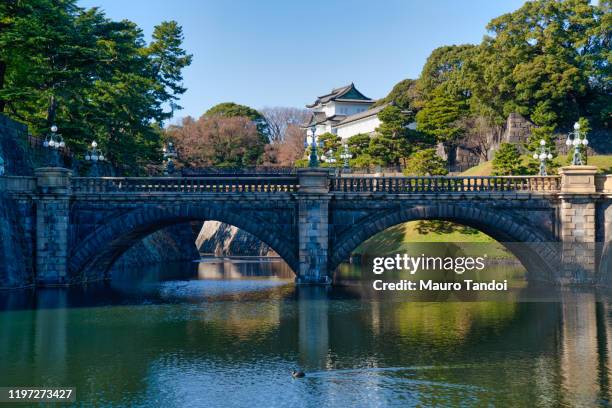 imperial palace, tokyo. - mauro tandoi foto e immagini stock