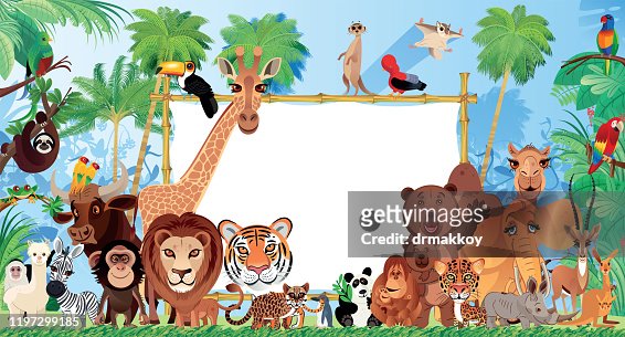 Animales Lindos En El Bosque Tropical Ilustración de stock - Getty Images