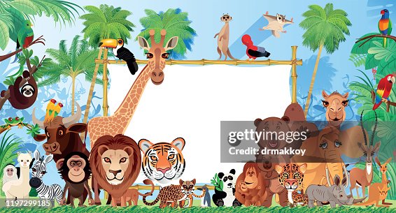 Animales Lindos En El Bosque Tropical Ilustración de stock - Getty Images Animales Lindos En El Bosque Tropical Ilustración de stock - Getty Images