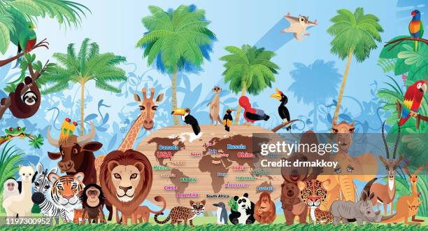 nette wildtiere, die im wald leben - animals in the wild stock-grafiken, -clipart, -cartoons und -symbole