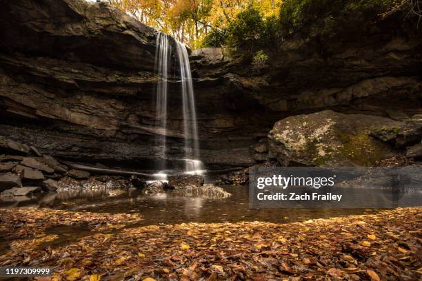 low angle view of waterfall in fall foliage - parco statale foto e immagini stock